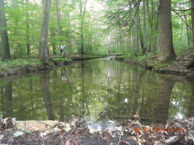 fowlers hollow.Laural run 06-09-14 080.jpg -                                